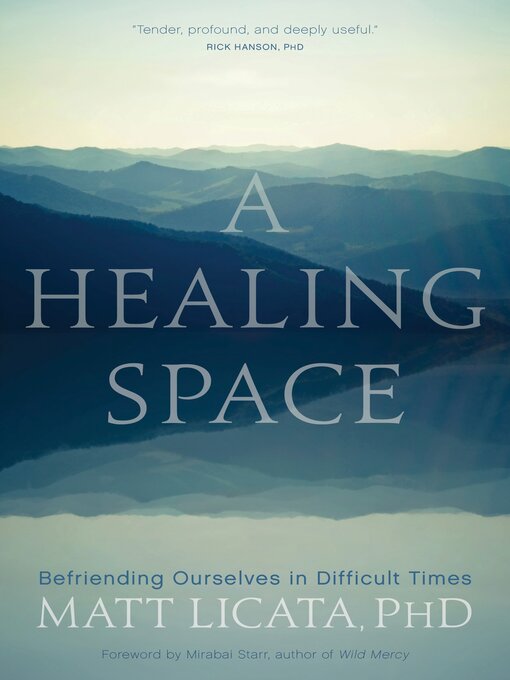 Title details for A Healing Space by Matt Licata - Wait list